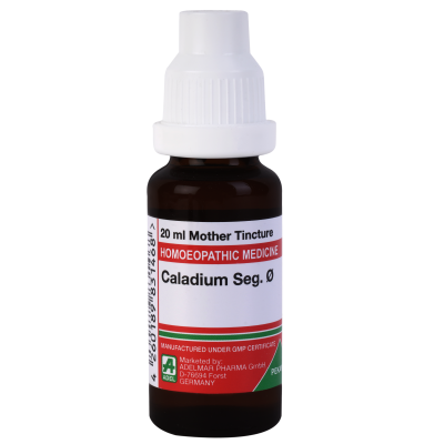 Caladium Seguinum 1X (Q) (20ml)